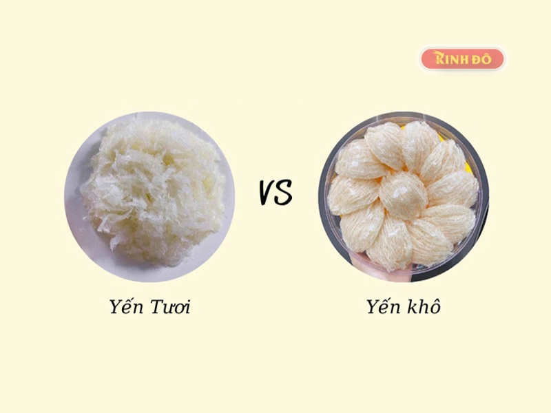 Tổ Yến Tươi Và Yến Khô Cái Nào Tốt Hơn? Nên Mua Loại Nào?