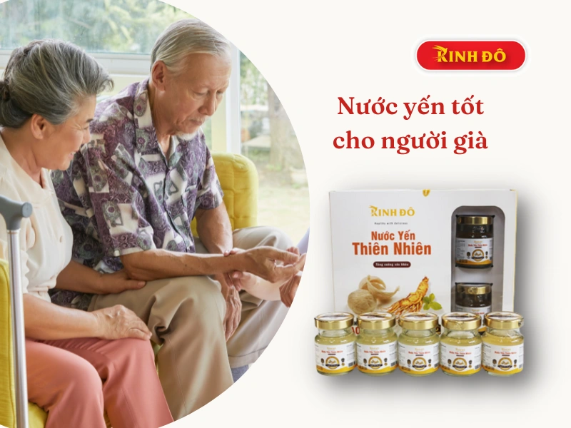 Nước Yến Loại Nào Tốt Cho Người Già? Nên Mua Thương Hiệu Nào?