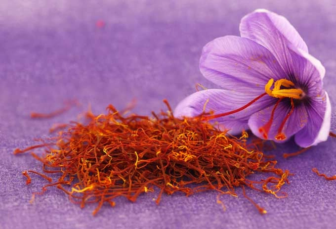 yến chưng saffron